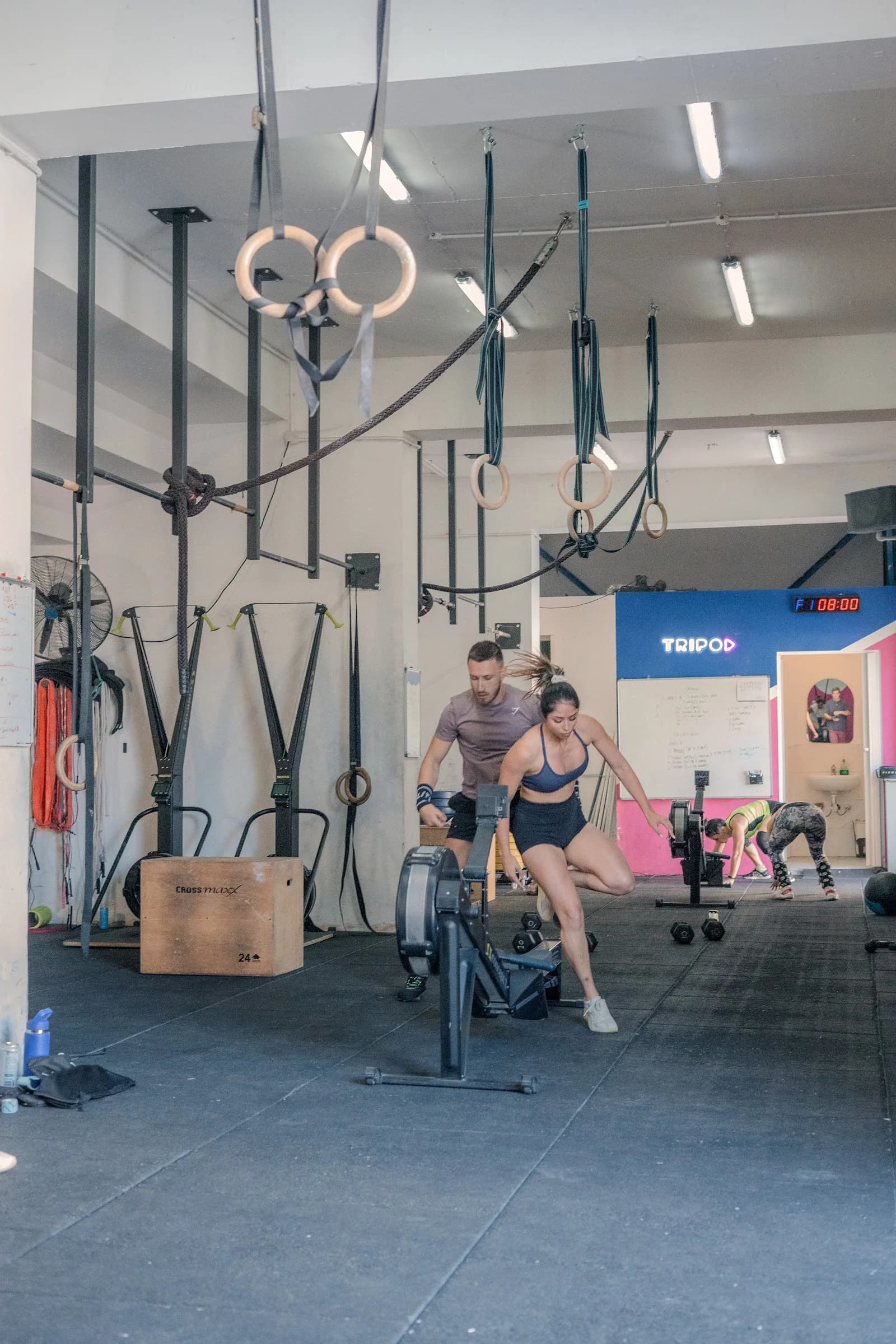 Weight plates by a limestone wall and cacti at CrossFit Tripod, an outdoor fitness gym in Ta' Qali, Malta.