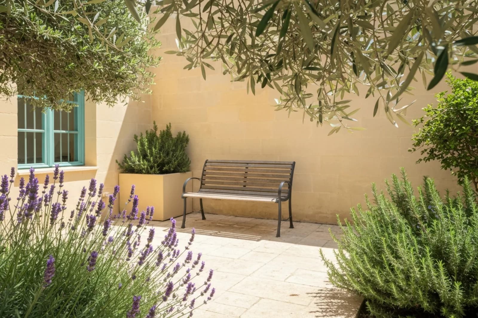 Two beige armchairs with a Monstera plant by a window, creating a calming space for mental health support in Birkirkara,...